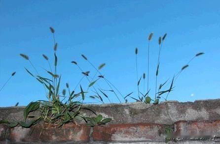 上班的地儿恰似江湖，有人的江湖便是非丛生，人多口杂难消停。
我本是个老实人，虽能