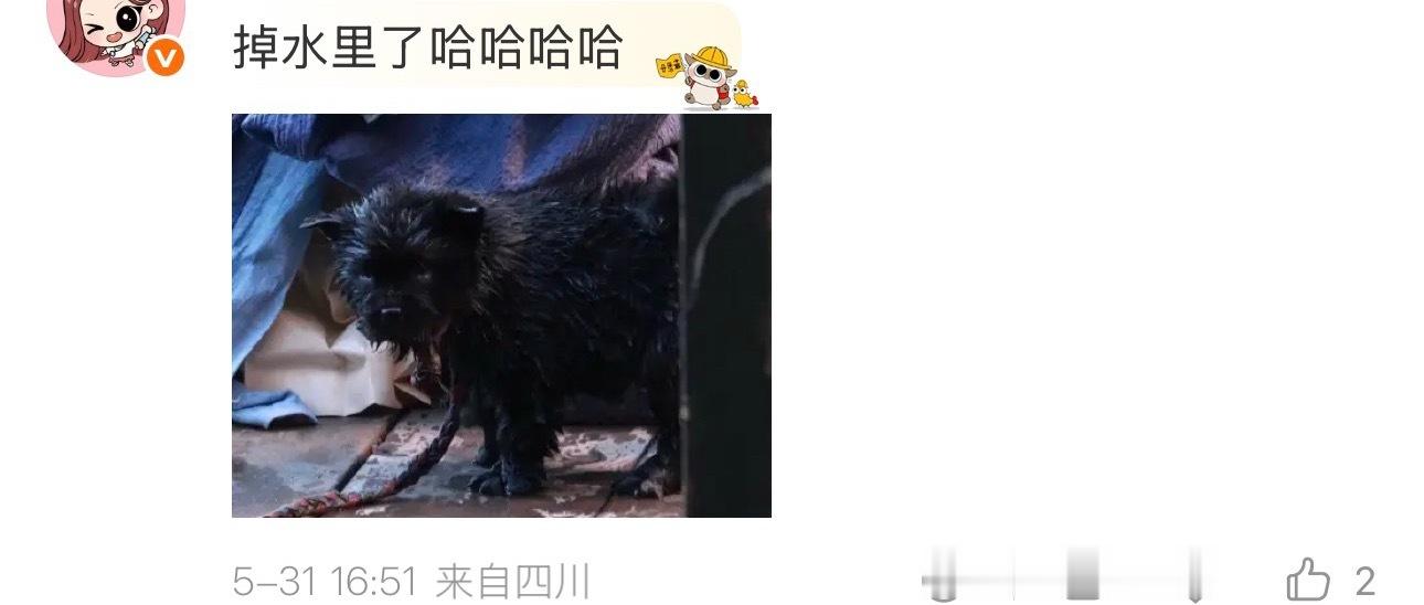 配上这个文案太搞笑了，怎么还是连续剧😂 