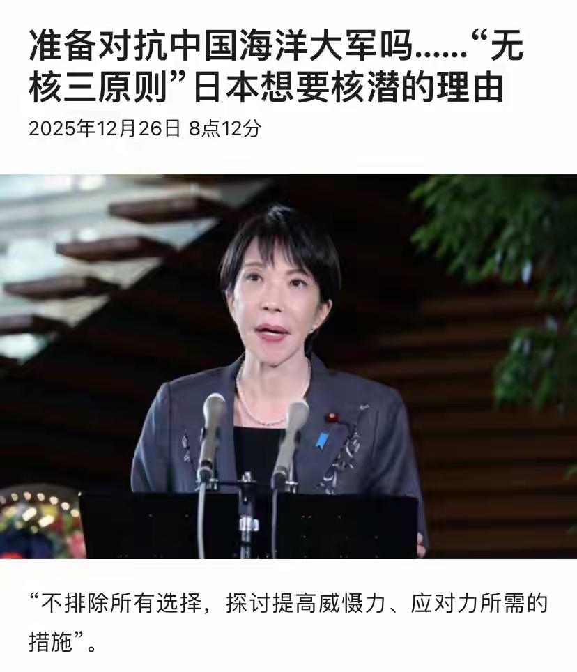 最担心的事情还是发生了。这是东亚的悲剧。
            12月25日，