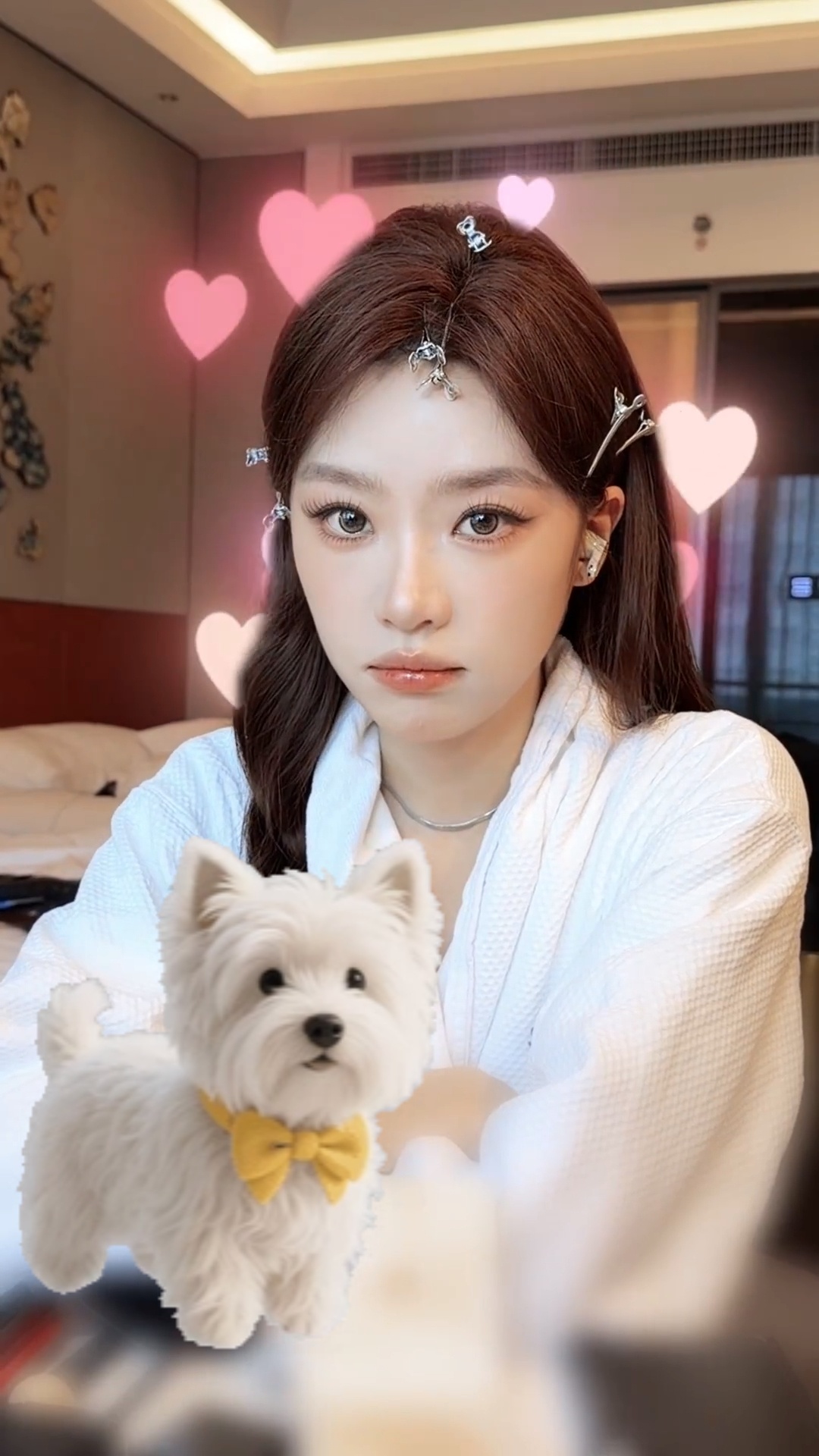 各种品种都有 请选择你要认养的修狗月🐕