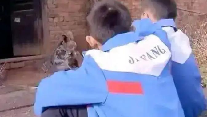 2016年，湖南一单亲妈妈身患癌症，临终前打算将11岁和8岁的儿子托付给亲戚，谁