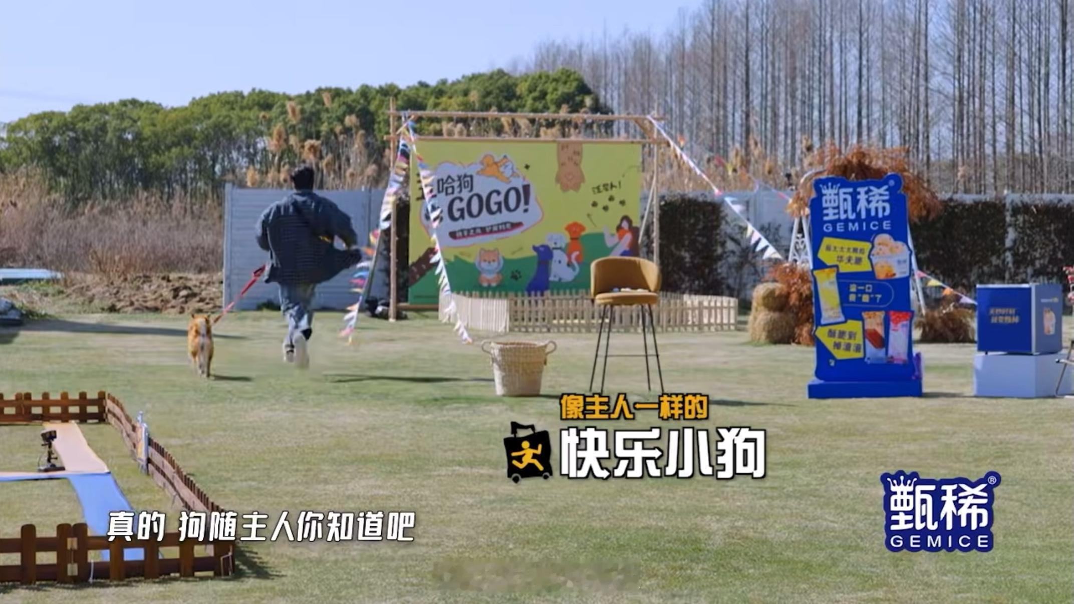 鹿晗儿子应该跟爸爸姓鹿晗说儿子应该跟爸爸姓 鹿晗：儿子应该跟爸爸姓五哈