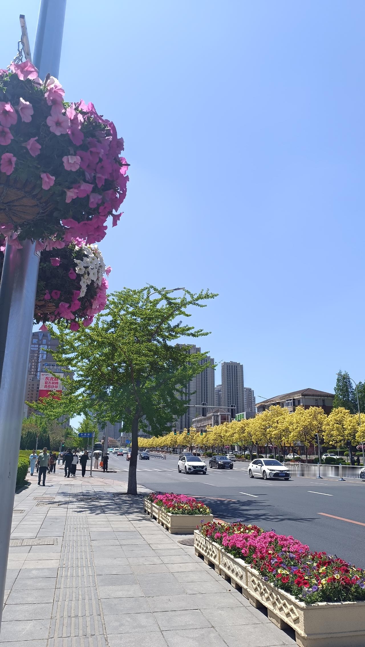 这条发沿途景色[大金牙]
喜欢这座城市，喜欢她的一切！

能一条接着一条发，必然
