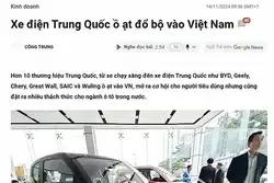 越媒：中国新能源汽车大规模跨境出口进军越南市场，越南本土汽车生产专家称：需像美国