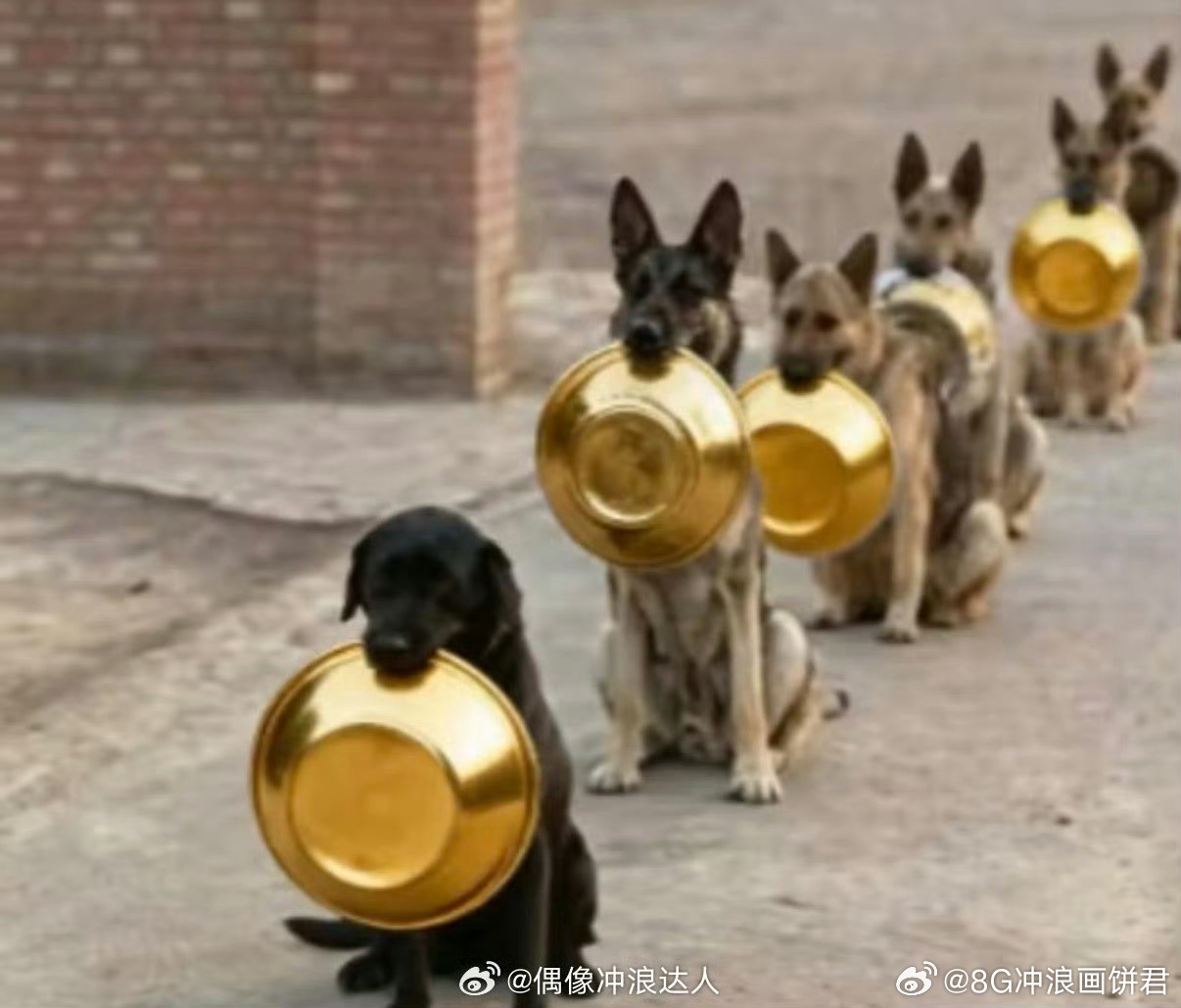 黄金真正的抄底艺术 本想着黄金抄底发财致富，没想到自己成了被抄的那个“底”。从山