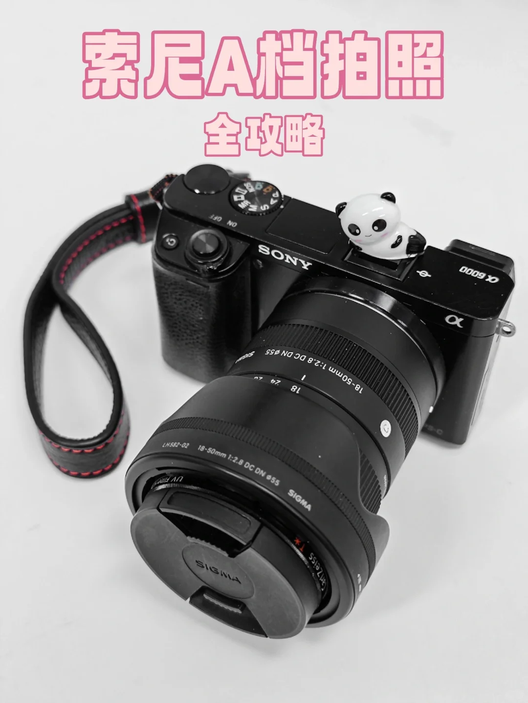 不要再用p档拍照了❗️❗️❗️