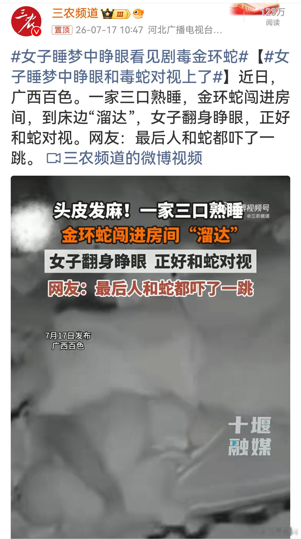 女子睡梦中睁眼看见剧毒金环蛇睡前完全没预兆，醒来直接和剧毒毒蛇对视，今晚怕是要做