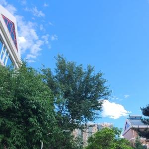 诗意人生爱带娃