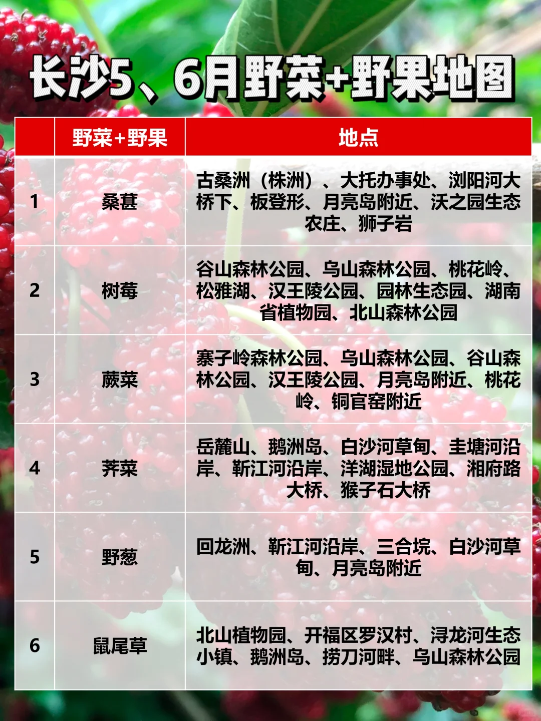 长沙5月6月野菜+野果地图！快带娃去玩！