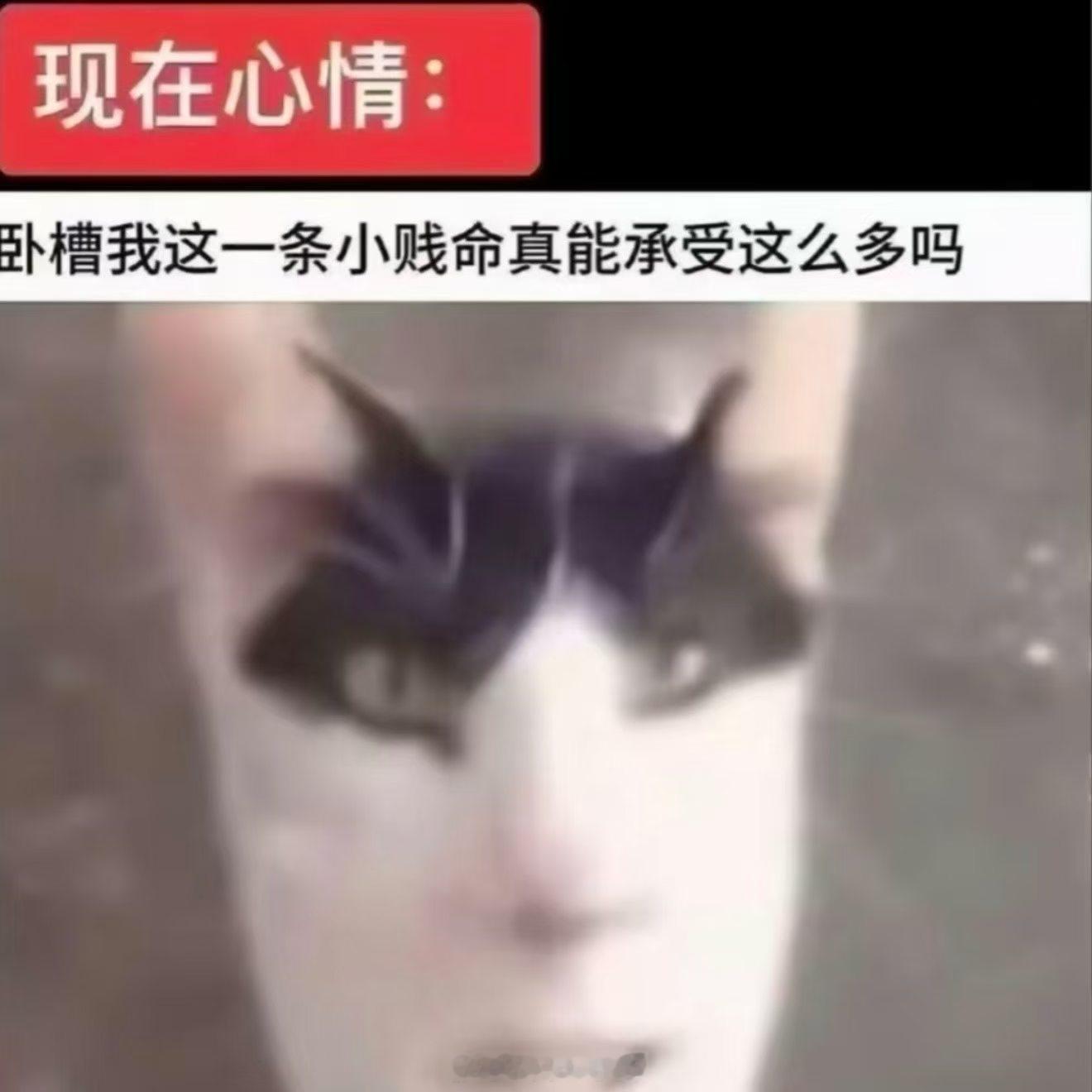 此刻: 