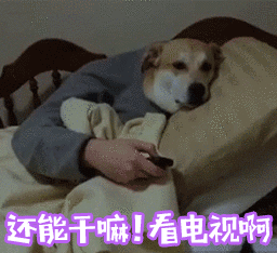 看了大家建议，买了TCL，一是因为它的技术不错，二是因为我买了点它的股票，那就那