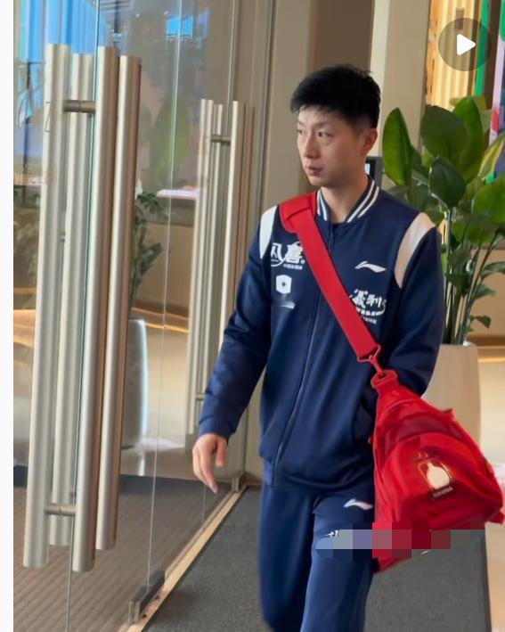 11月11日全运会训练场上 终于看见马龙来上训啦
龙队一换上北京队的队服，
立刻