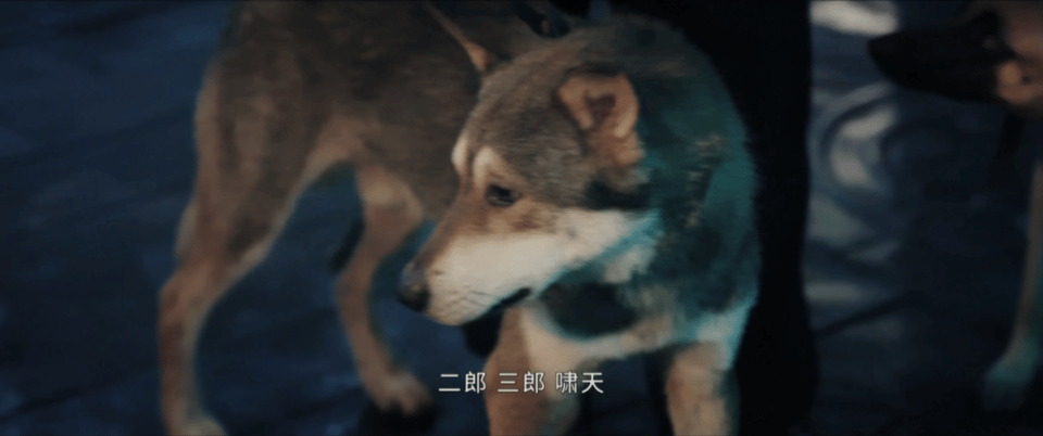九门优酷热度破10000九门优酷2026年最快破万剧 👖你真是赚到了！没有想到