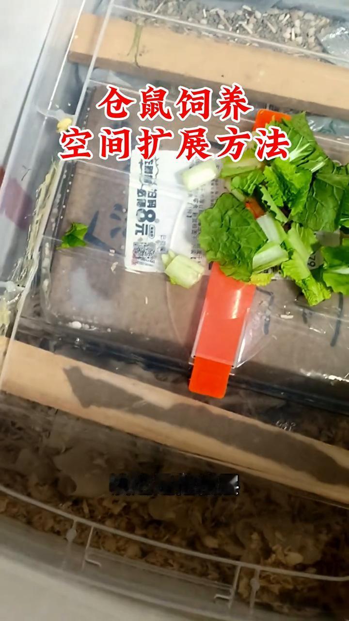 仓鼠饲养空间扩展方法。
仓鼠新的空间修好了，这下头是第一层，这是它的窝，把厕所搁