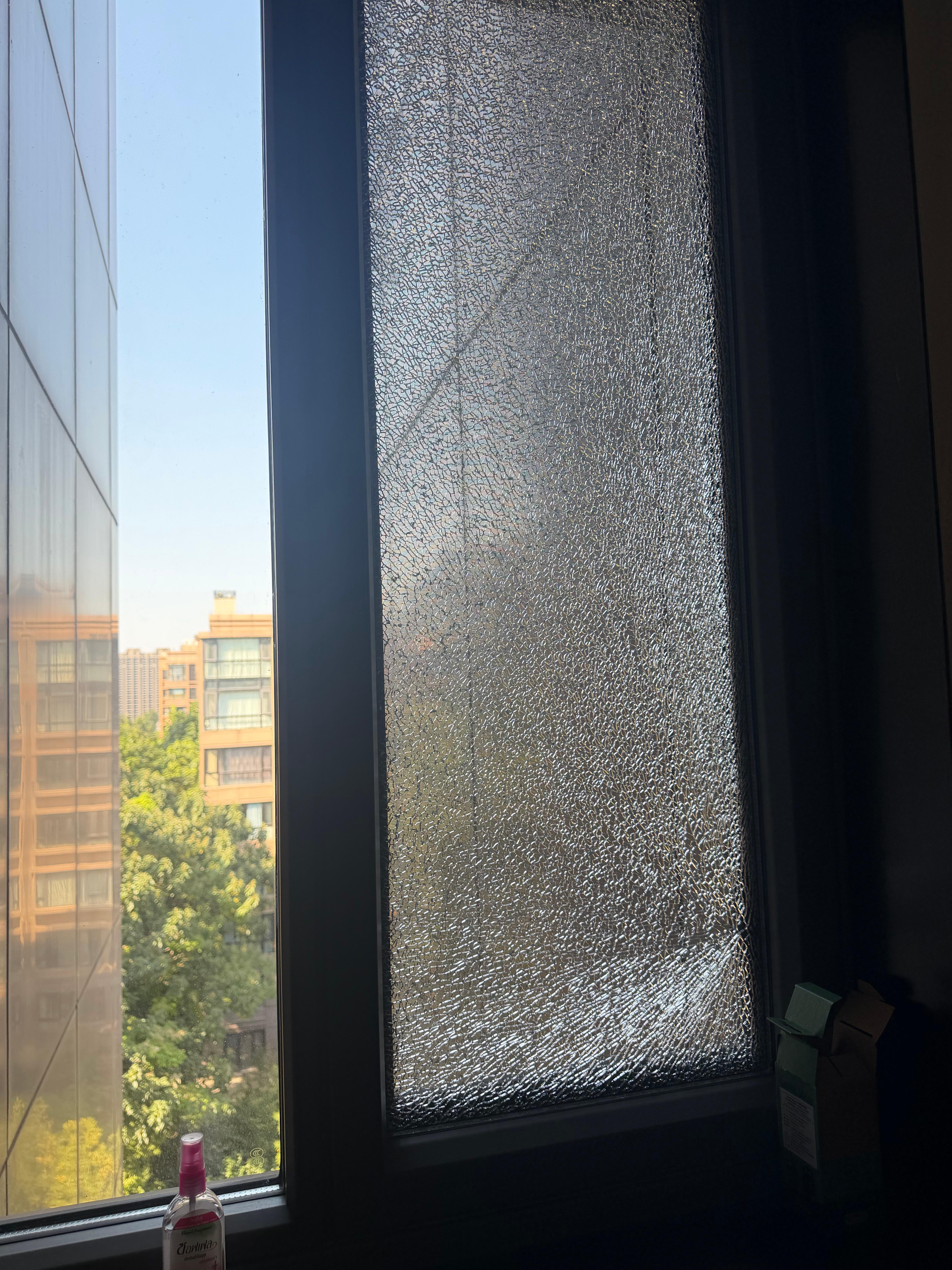 到家发现玻璃自爆了[裂开]Bowen的日常  ​​​