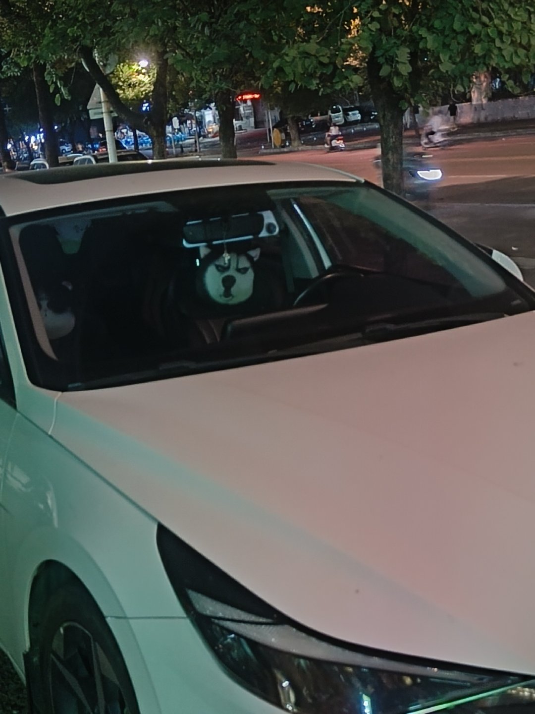🌚我不行了吓我一跳以为狗在开车 ​​​