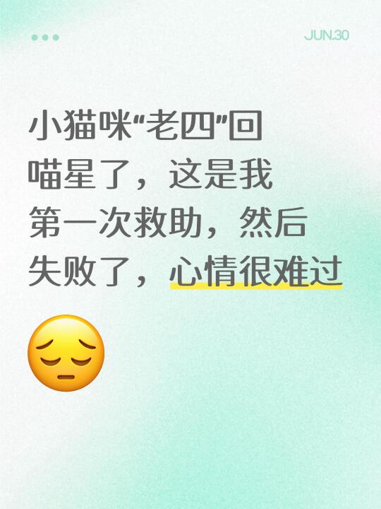 小流浪猫“老四”回喵星了