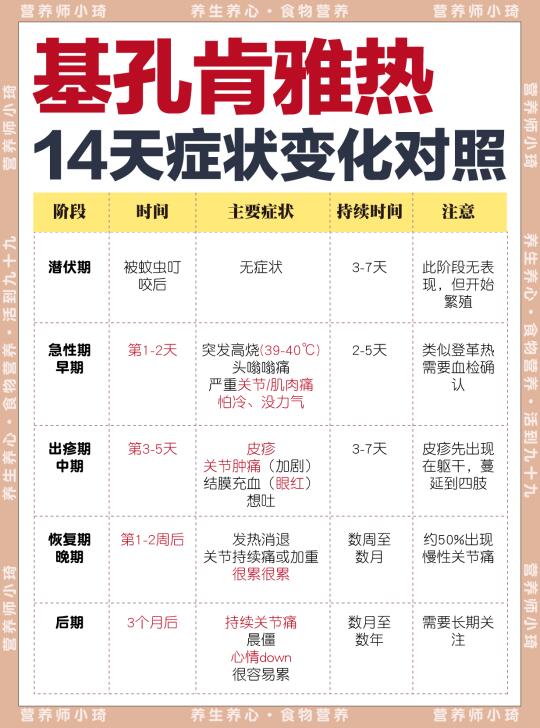 广东基孔肯雅热爆发！防蚊速看！🦟