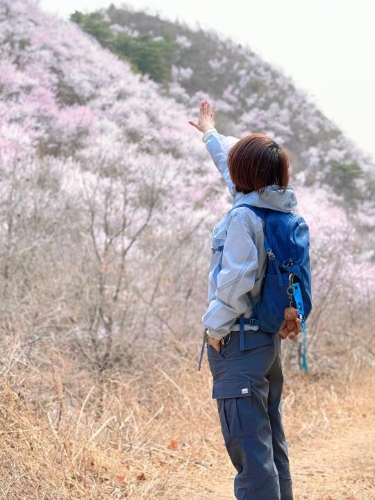 赏花赏春天❣️北京周边漫山遍野的桃花开了