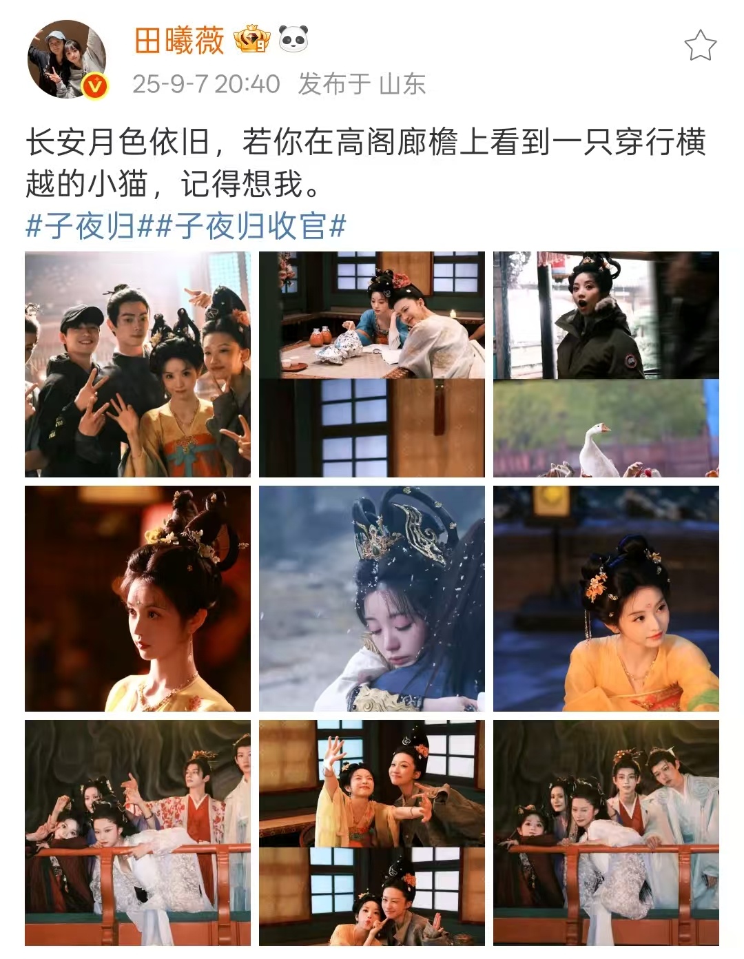 田曦薇子夜归收官发文田曦薇发文告别武祯田曦薇子夜归收官发文，收官啦，[可爱] ​