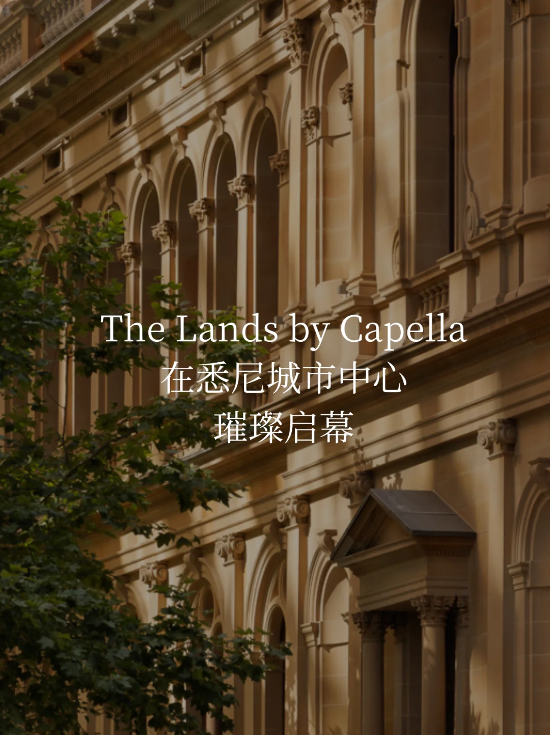 新体验 | The Lands by Capella
