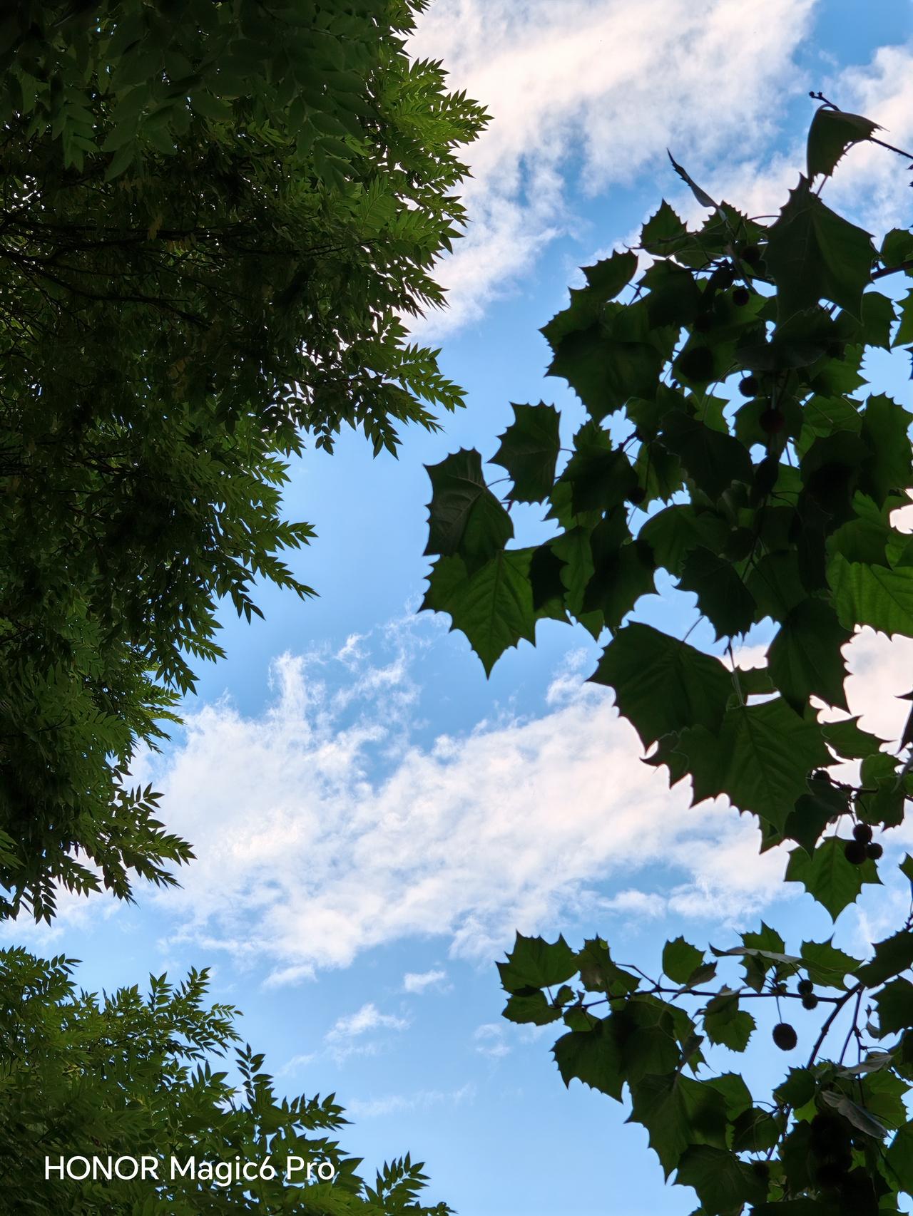在通州三间房候车时随手一拍，城市风景便定格在了镜头里。
如今的通州变化可真大！就