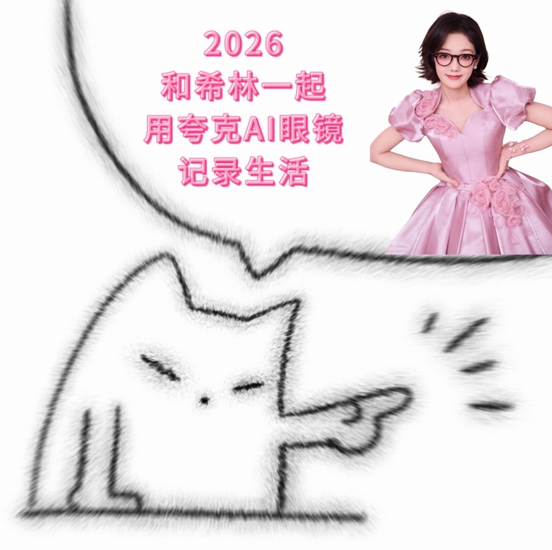 i人过年有的是力气和手段查到了希林娜依高春晚同款眼镜——夸克AI眼镜。戴上之后发