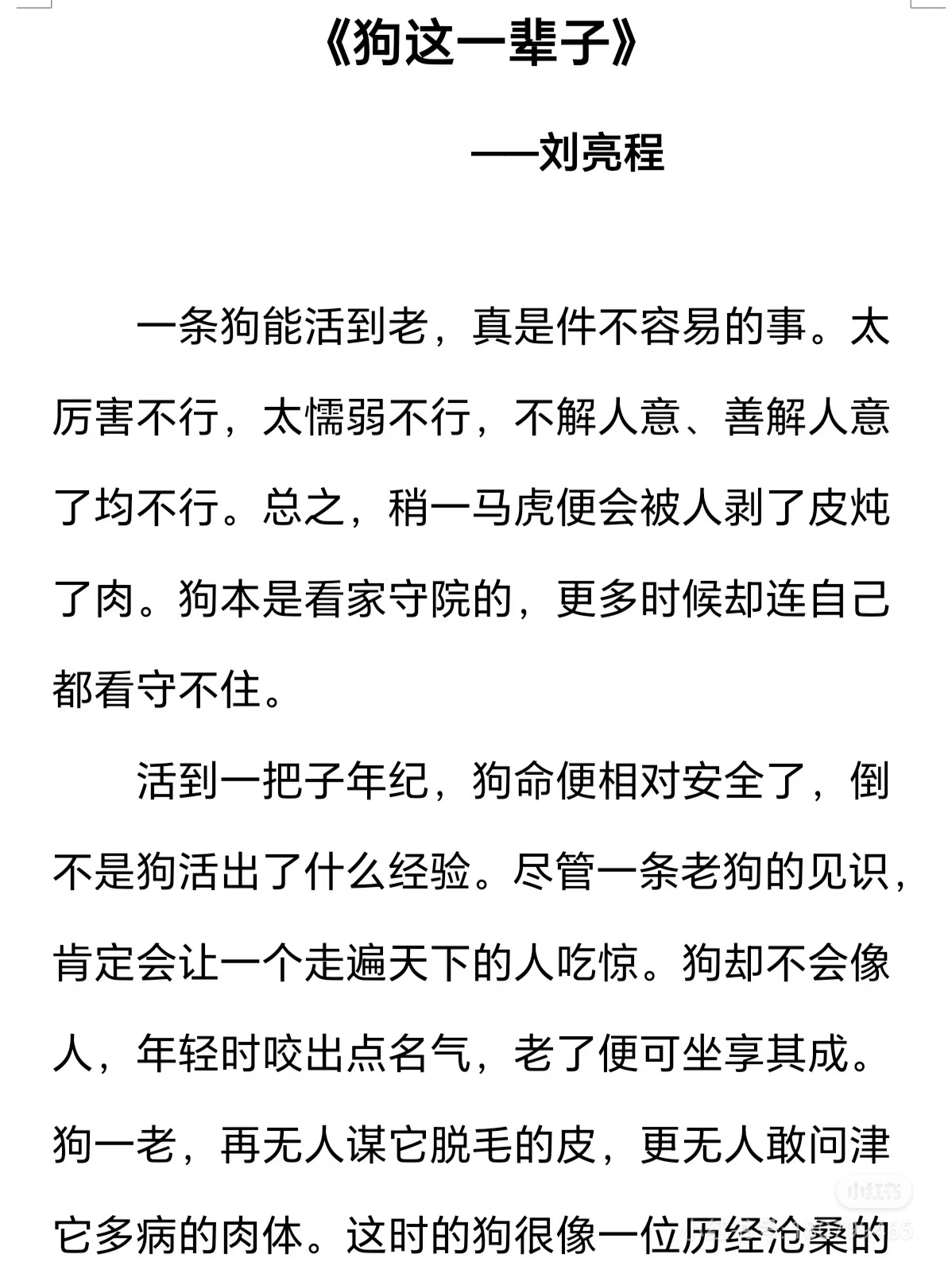 《狗这一辈子》  作者:刘亮程  佳作推荐 ​​​