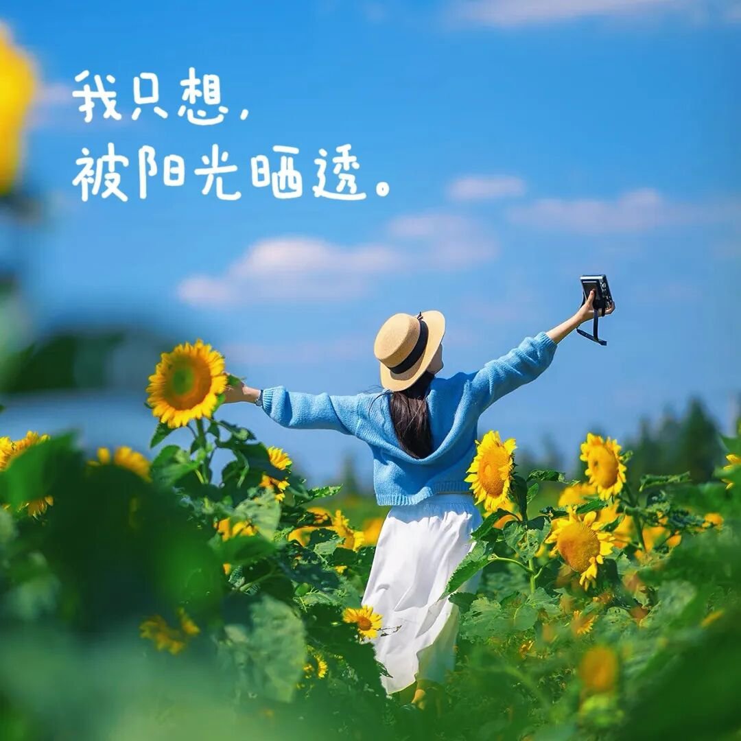 “成年人的解压方式，早已不是吃喝，而是独处，沉默，不说话，不交际，累了就出去走走