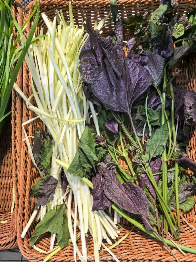 清明节最适合吃的10道菜


1鸡蛋炒春韭菜
2发芽葱炒拆骨肉
3蒜苗炒干豆腐