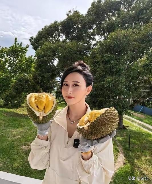 胡静嫁马来西亚18年，实现榴莲自由！
胡静的6000平庄园种满猫山王榴莲，堆成山