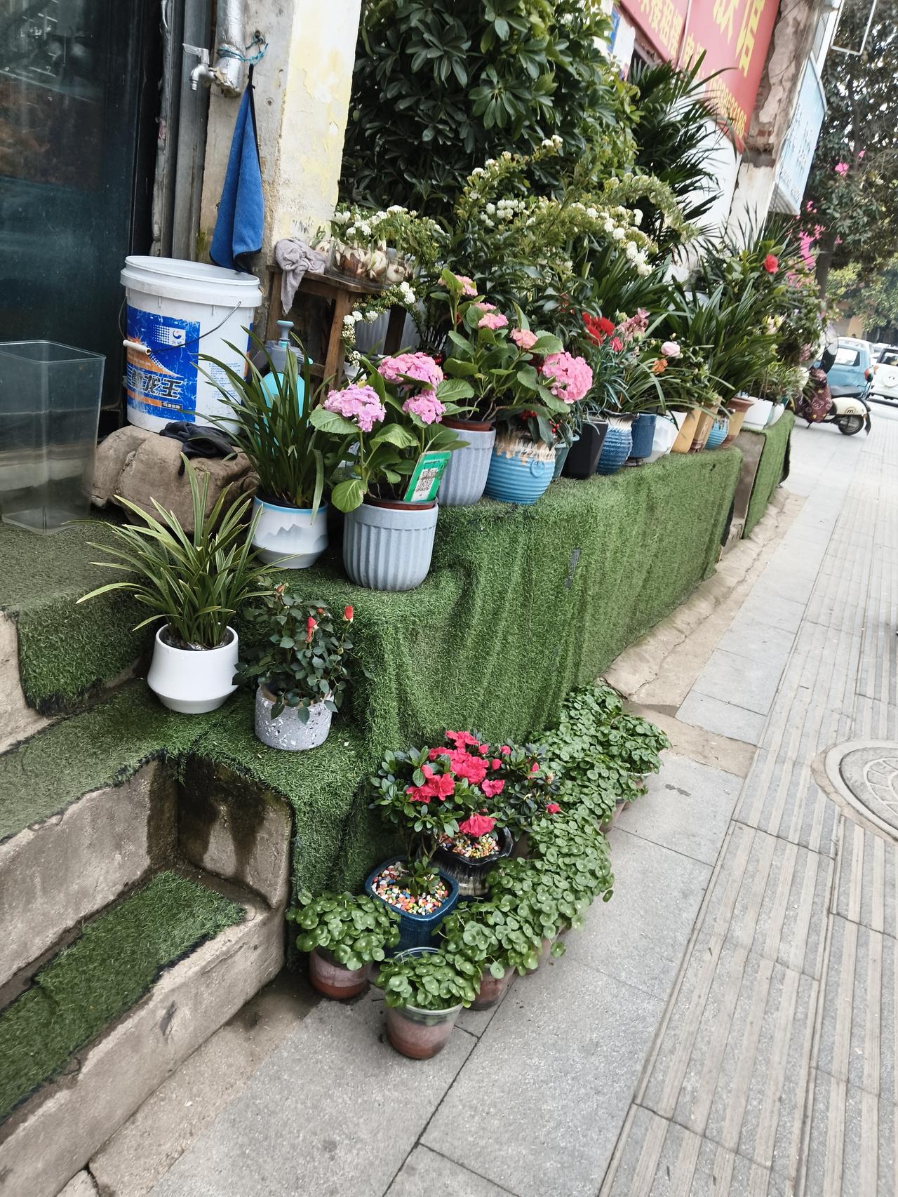 记录我的2026这星期过得很快啊，转眼又到星期三了。不过温度还没有增加，还是在1