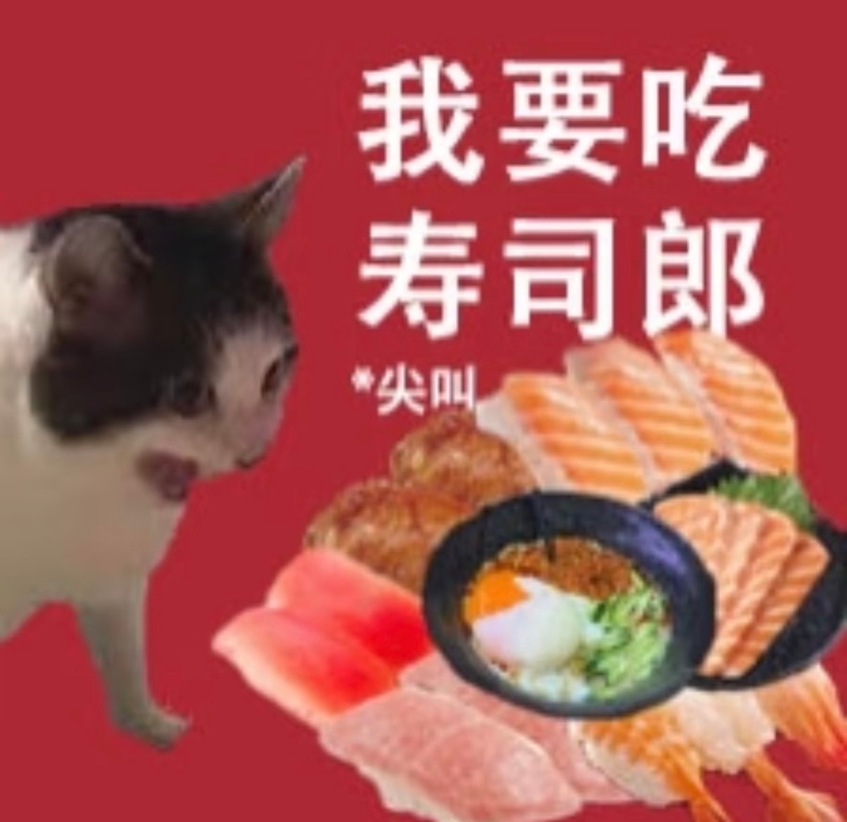 就现在🫵🏻看到的给我推荐一些寿司郎叭！【上海太难排了我要大吃特吃终于排到了】