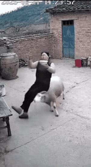 烤了吧，留着也是祸害～