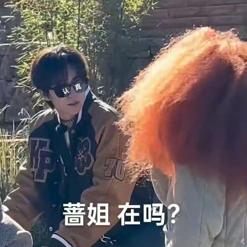 贺峻霖在张蔷头发里找张蔷  贺峻霖一路繁花今日路透小合集期待播出啊[哇] 