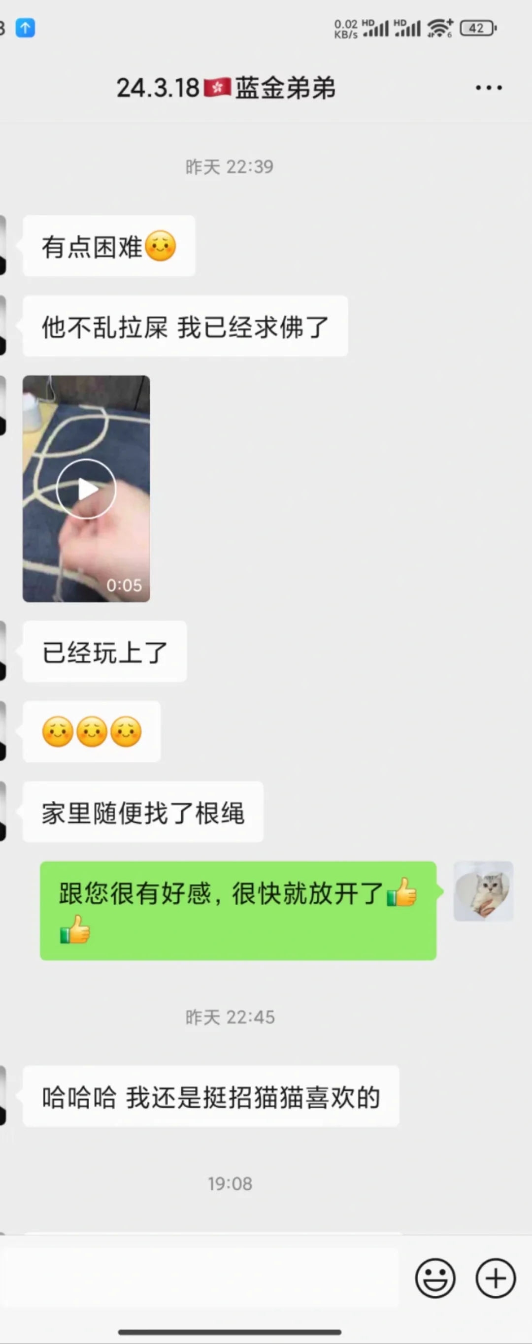 🇭🇰貓貓怎麼如此社牛⁉️