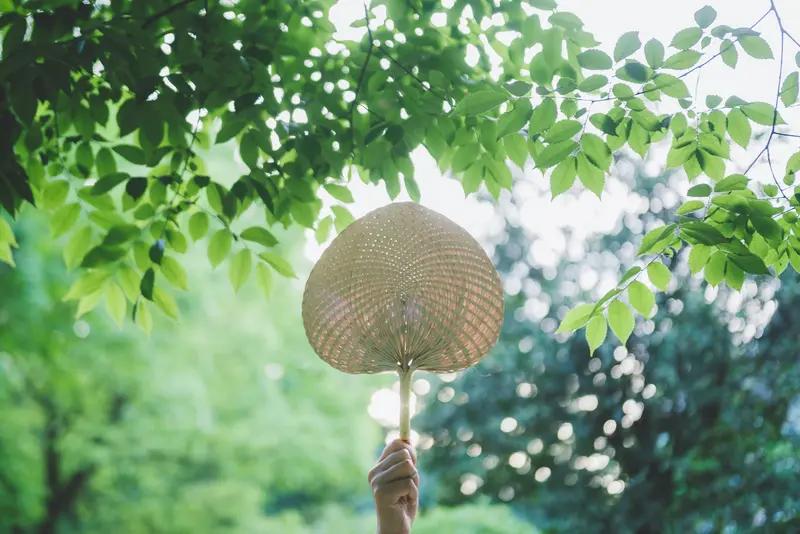看到“夏日悠长清风至”这个上联，瞬间就有了画面感，夏日里，悠长时光中清风拂面，别