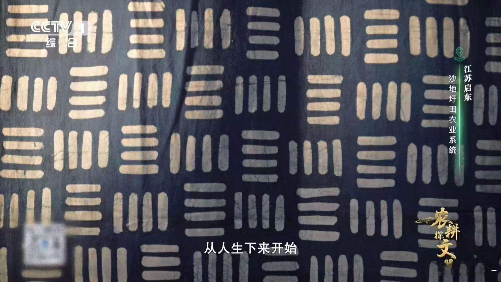 蓝印花布是东方审美的隐藏款江苏启东人用20多天染出一块布从襁褓到喜被，再到老去的