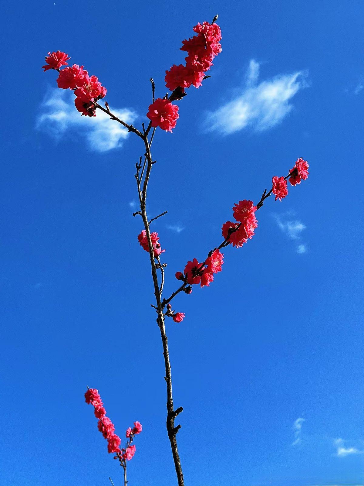 岳父最招女婿烦的，从来不是他说了什么。
是他觉得自己有资格随时对你指手画脚。
女