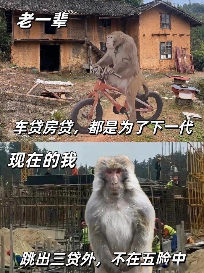 #拼多多又把iPhone16价格打下来了#不出意料的话（并嘻嘻）又上大分了，我之