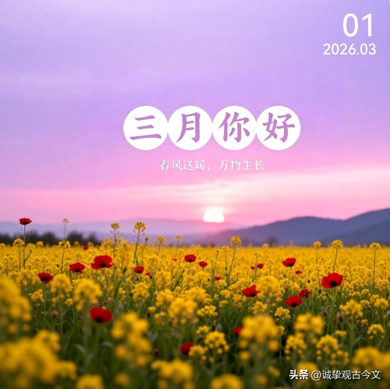 三月你好	
新的三月，
把冬寒的余韵轻放，
让春意在时光里舒展。