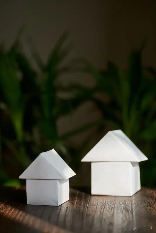 2026最想实现的一件事 2026年，我最想实现的就是买套属于自己的小房子。想想