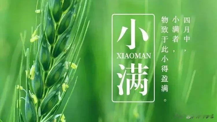 【十楼杂记】小满
五月麦芒尖，新穗渐盈田。
风吹千顷浪，碧色到天边。