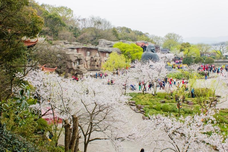 最近无锡鼋头渚的樱花盛开，那漫山粉樱如云似雾，美得一塌糊涂，吸引了各地游客。不过
