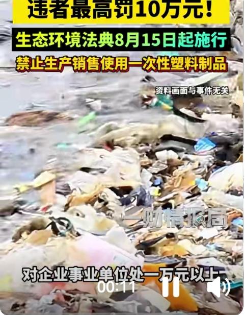 最高罚10万！今天起，这类塑料制品被全面“拉黑”

家人们注意啦！就在今天（8月