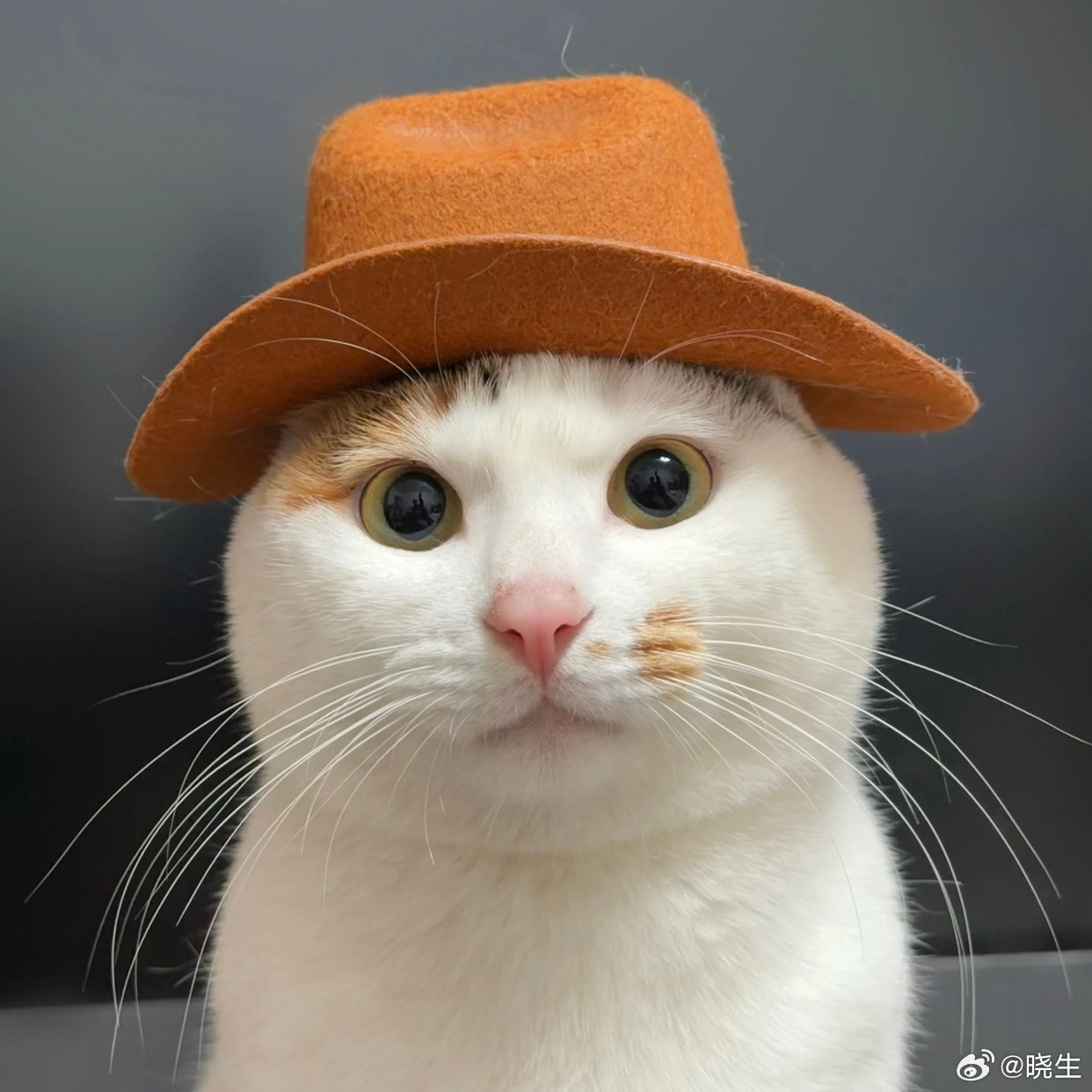 多聊一句，其实日常咨询接触的人比较多，也更加觉得，大家其实还是少受到毒鸡汤影响就