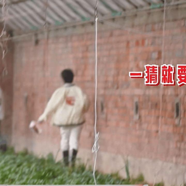 就…哎呀…好可爱啊。懂吧！我心都化了化了🥹🥲 