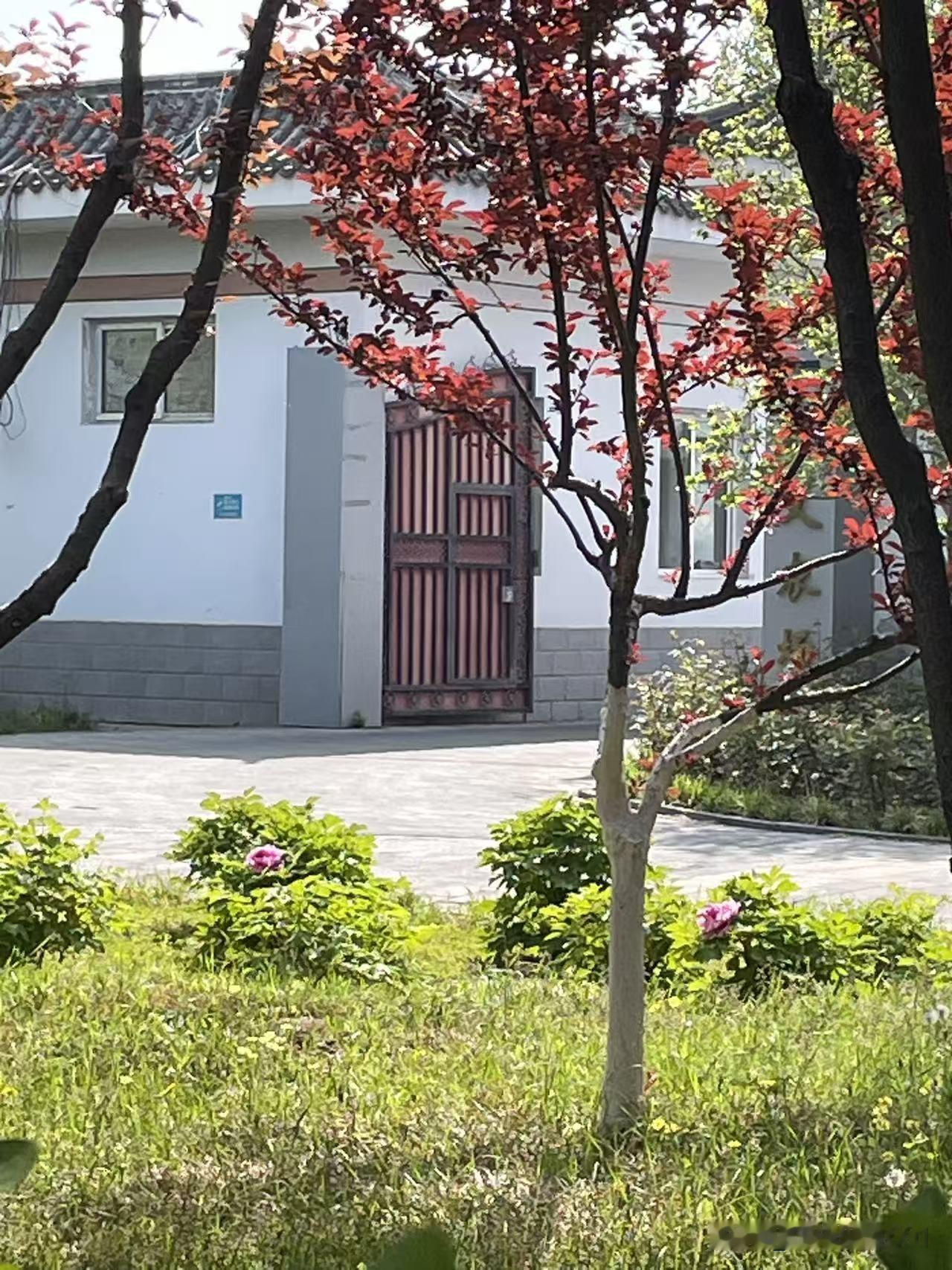 如何评价张雪在摩托车界的地位王中王，皇中皇