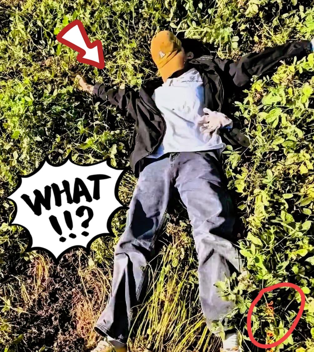 高考结束后，河南周口一名18岁男孩自我估分只有380分，自认升学无望，怕让父母失