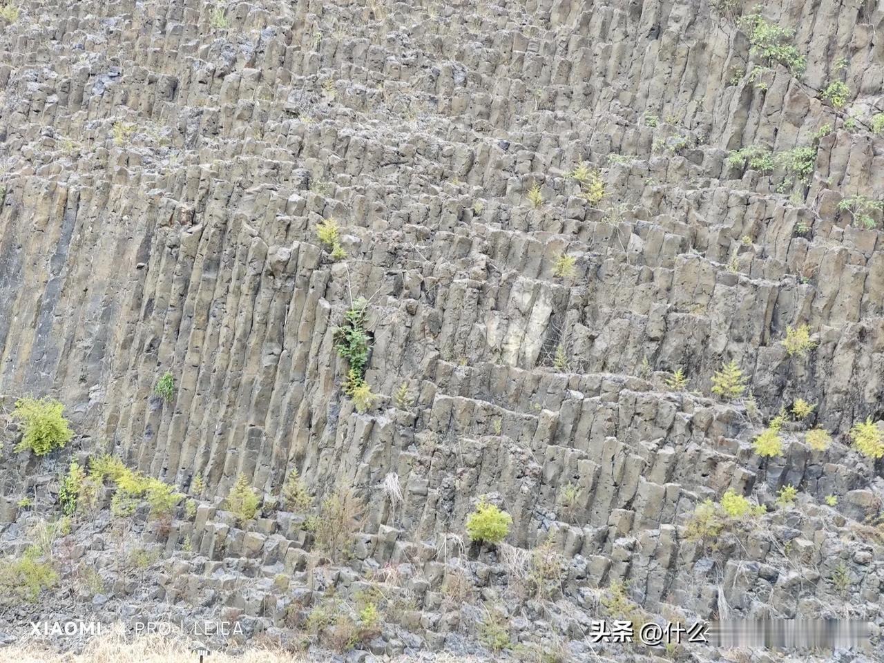 江苏南京也有石柱林，你知道在哪吗？